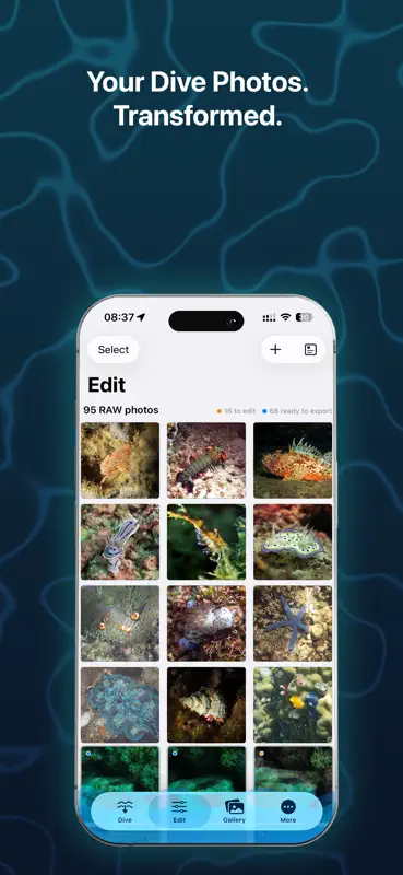 ScubAI: Underwater Photo AI screenshot 5 of 9