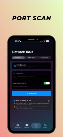 Ping Logger - Network Ping screenshot