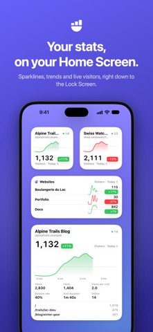Pocket Stats for Umami screenshot 2
