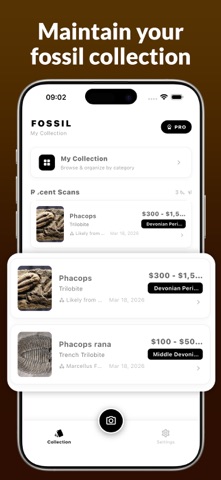 Fossil Identifier : FossilScan Screenshot 4 of 5
