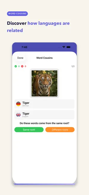 Foreign Words: Picture Vocab screenshot 3