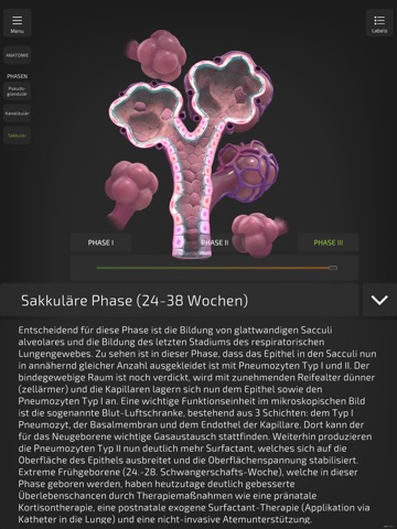 Insight NeoLung iPad screenshot