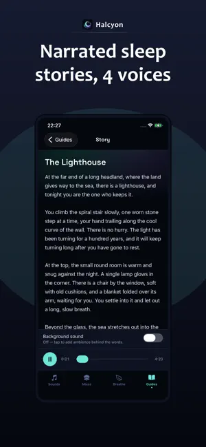 Halcyon: Brown & White Noise screenshot 2