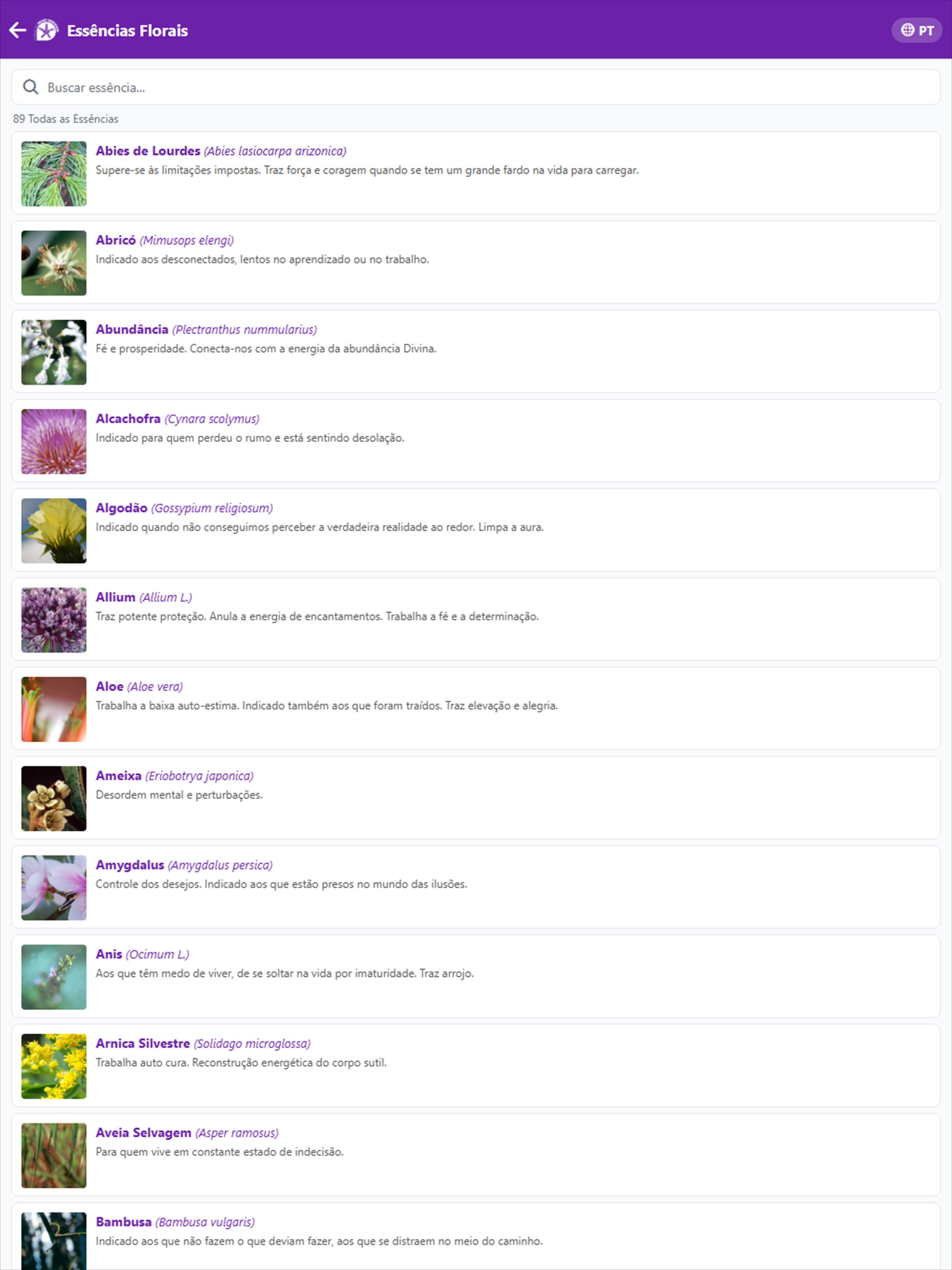 Florais de Saint Germain screenshot 10