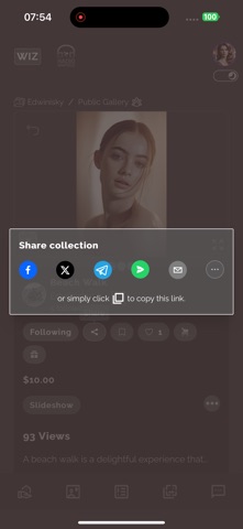 Wizwood - Digital Art Platform screenshot