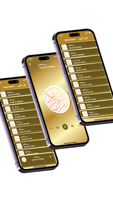 Maher Maeqli Quran mp3 offline Screenshot