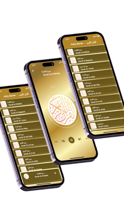 Maher Maeqli Quran mp3 offline screenshot-6