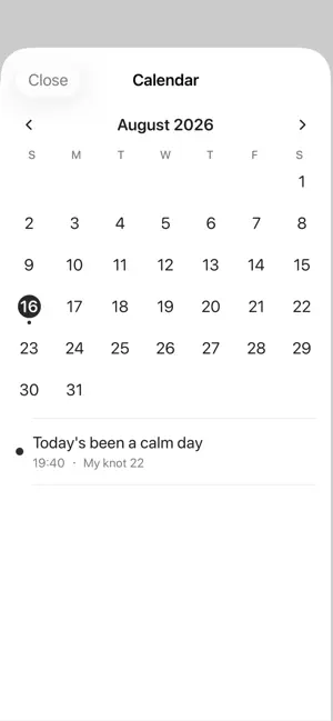 Knot Diary screenshot 3
