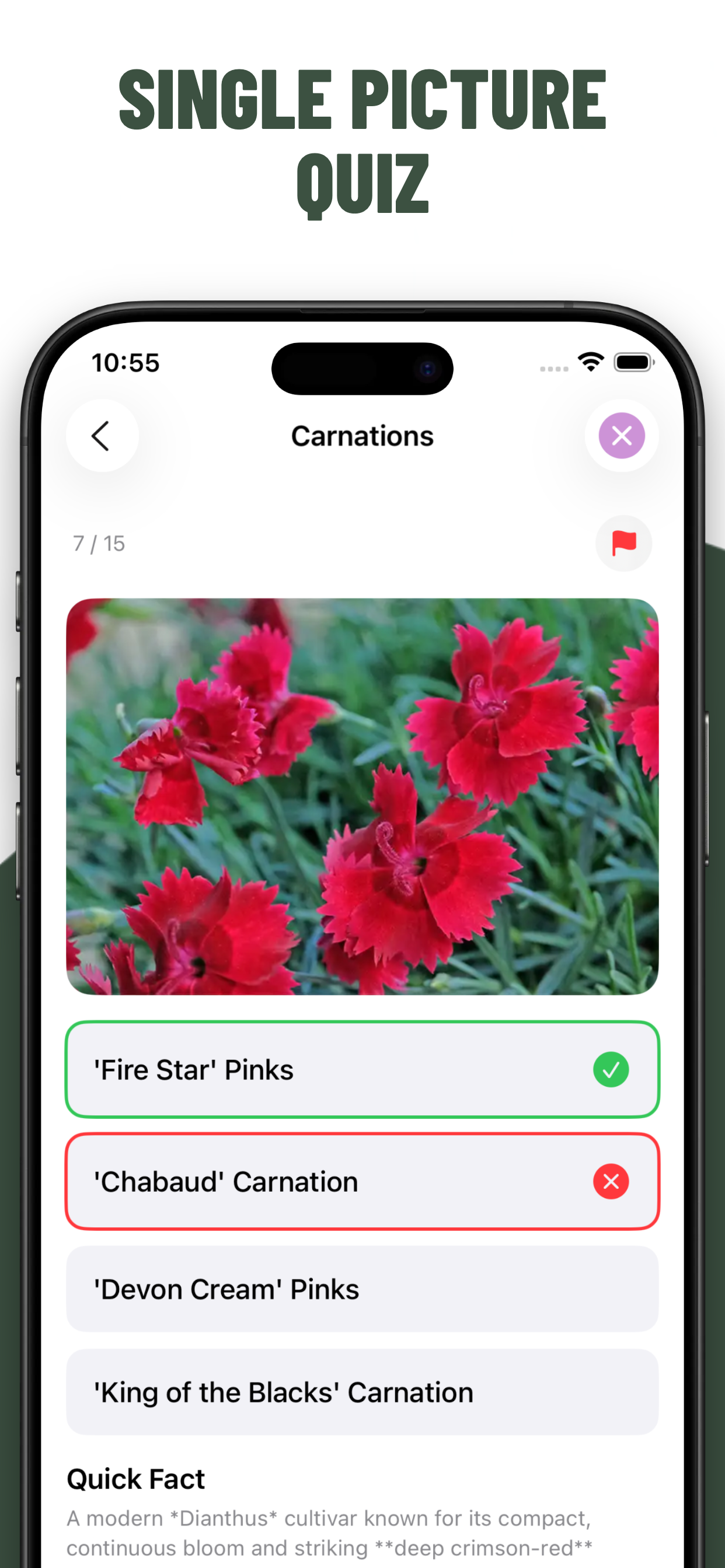 Flowers Quiz Identify Types screenshot 2