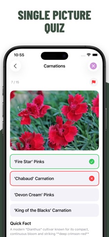 Flowers Quiz Identify Types screenshot