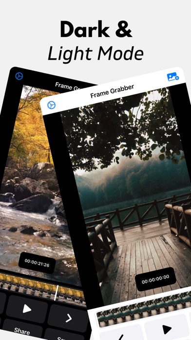 Frame Grabber: Video to Pic Screenshot