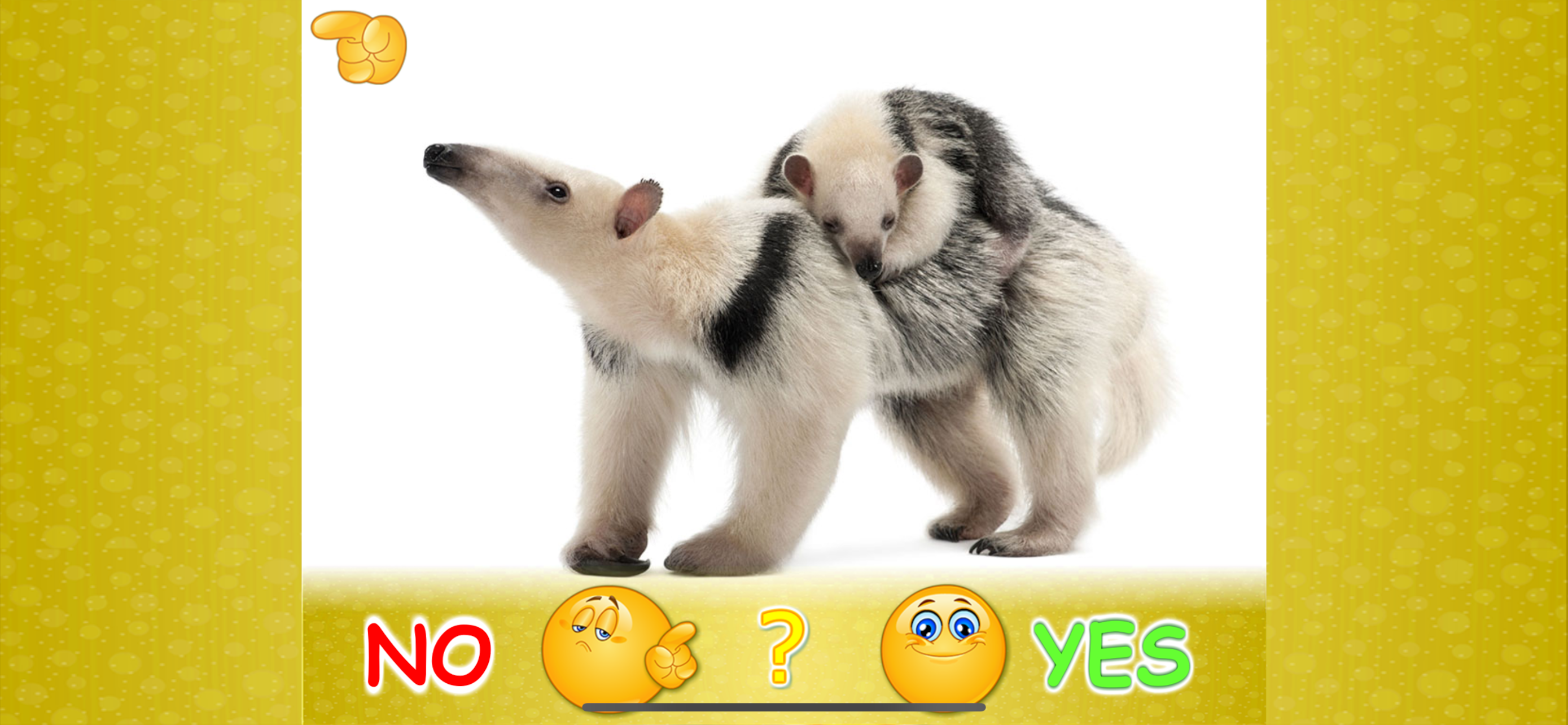 Animal picture games: for kids screenshot 6
