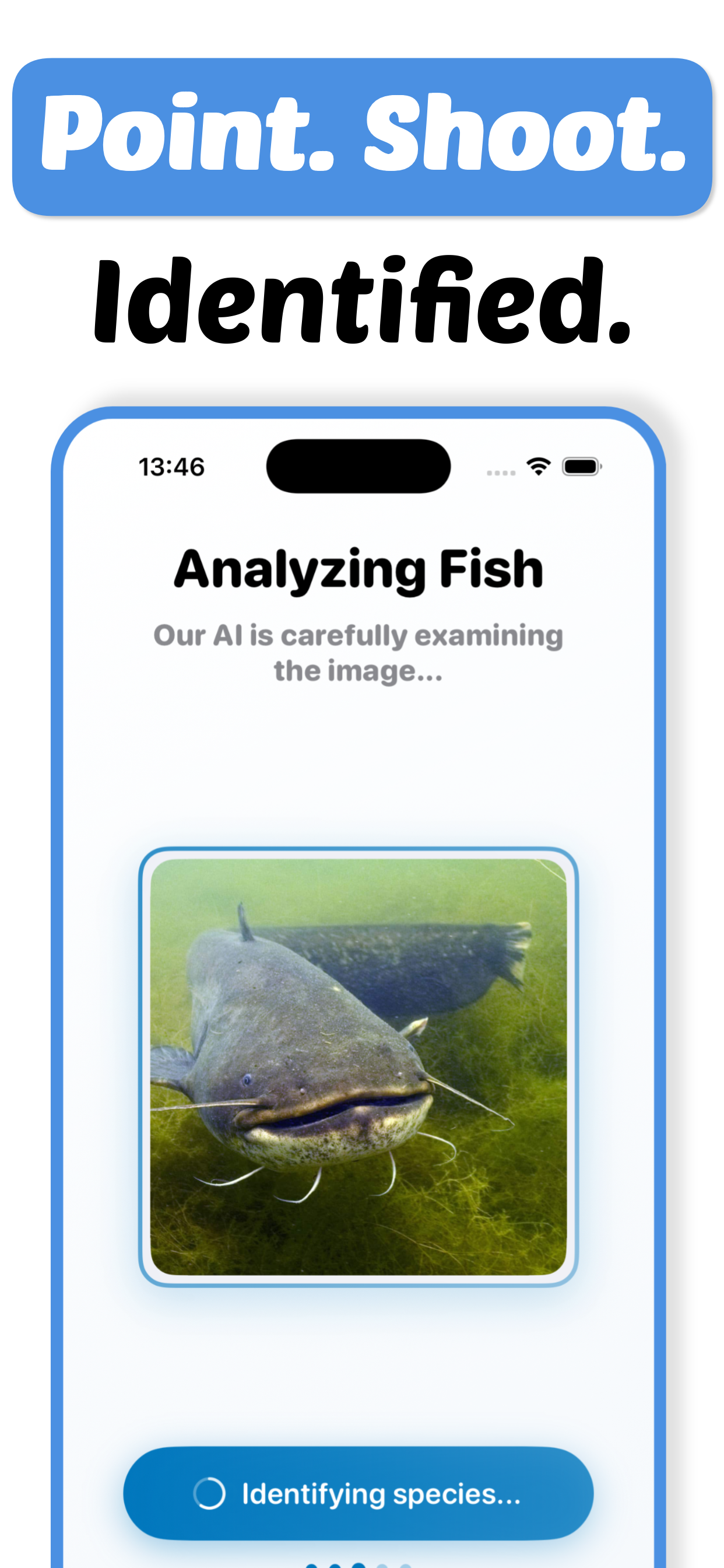 Fish Identifier - Fishy