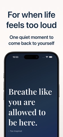 Too Inspired screenshot