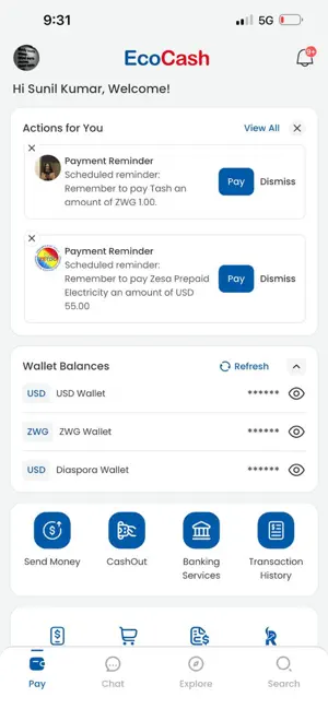 EcoCash Super App screenshot 2