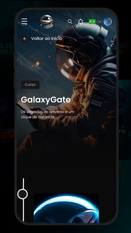 The Galaxy Gate