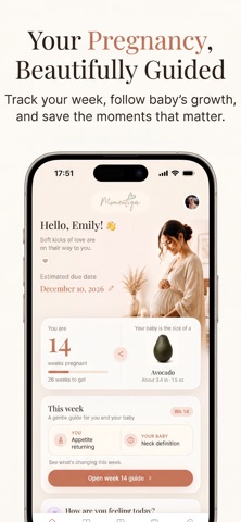 Momentiqa screenshot