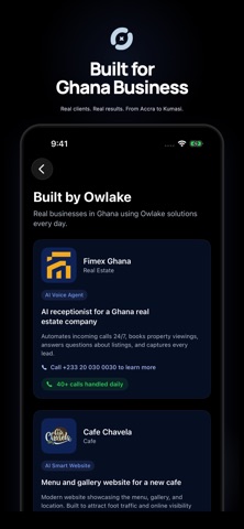Owlake: AI Business Advisor iPhone screenshot