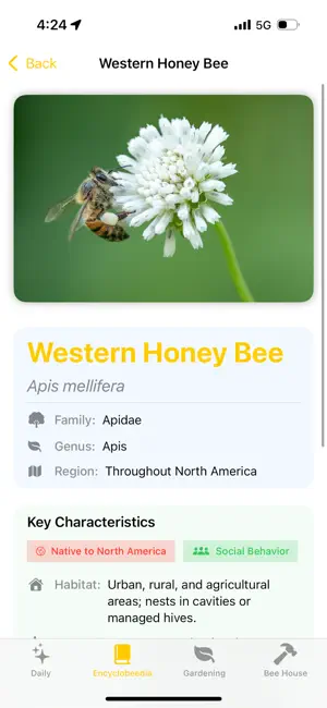 Bee Facts - Nature Knowledge screenshot 3