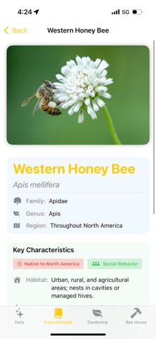 Bee Facts - Nature Knowledge screenshot