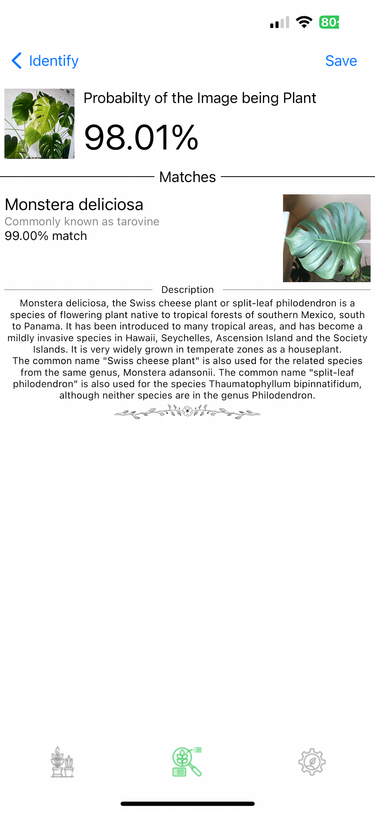 Plant Identifier Pro