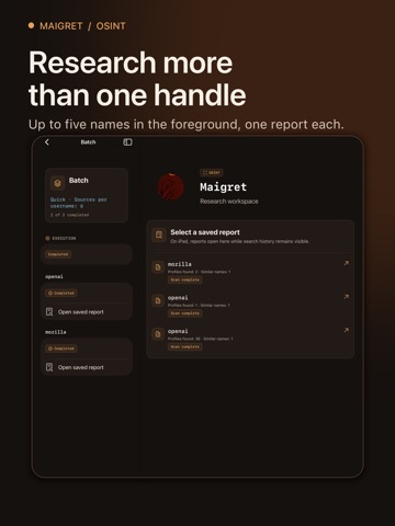 Maigret: OSINT Username Finder iPad screenshot