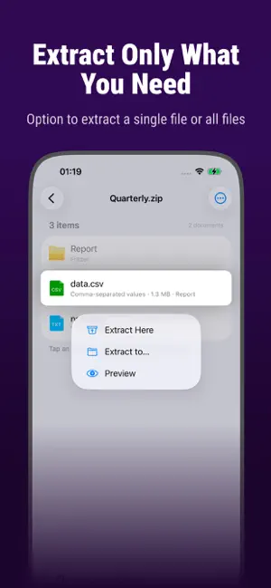 Ziply: RAR ZIP 7Z Extractor screenshot 3