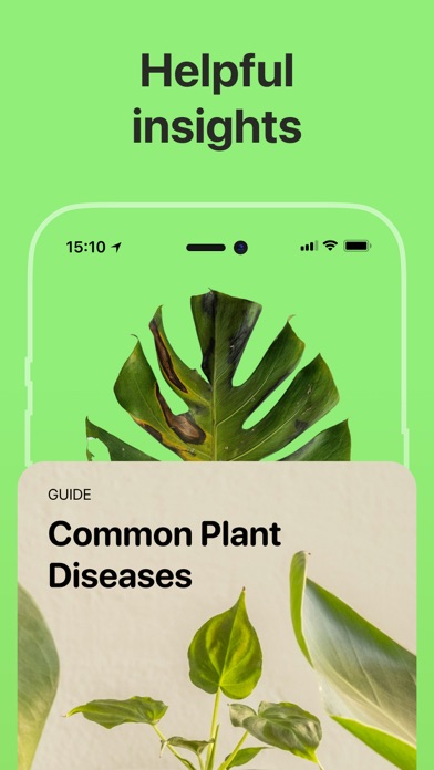 Plant Disease Identifier Pro Screenshot