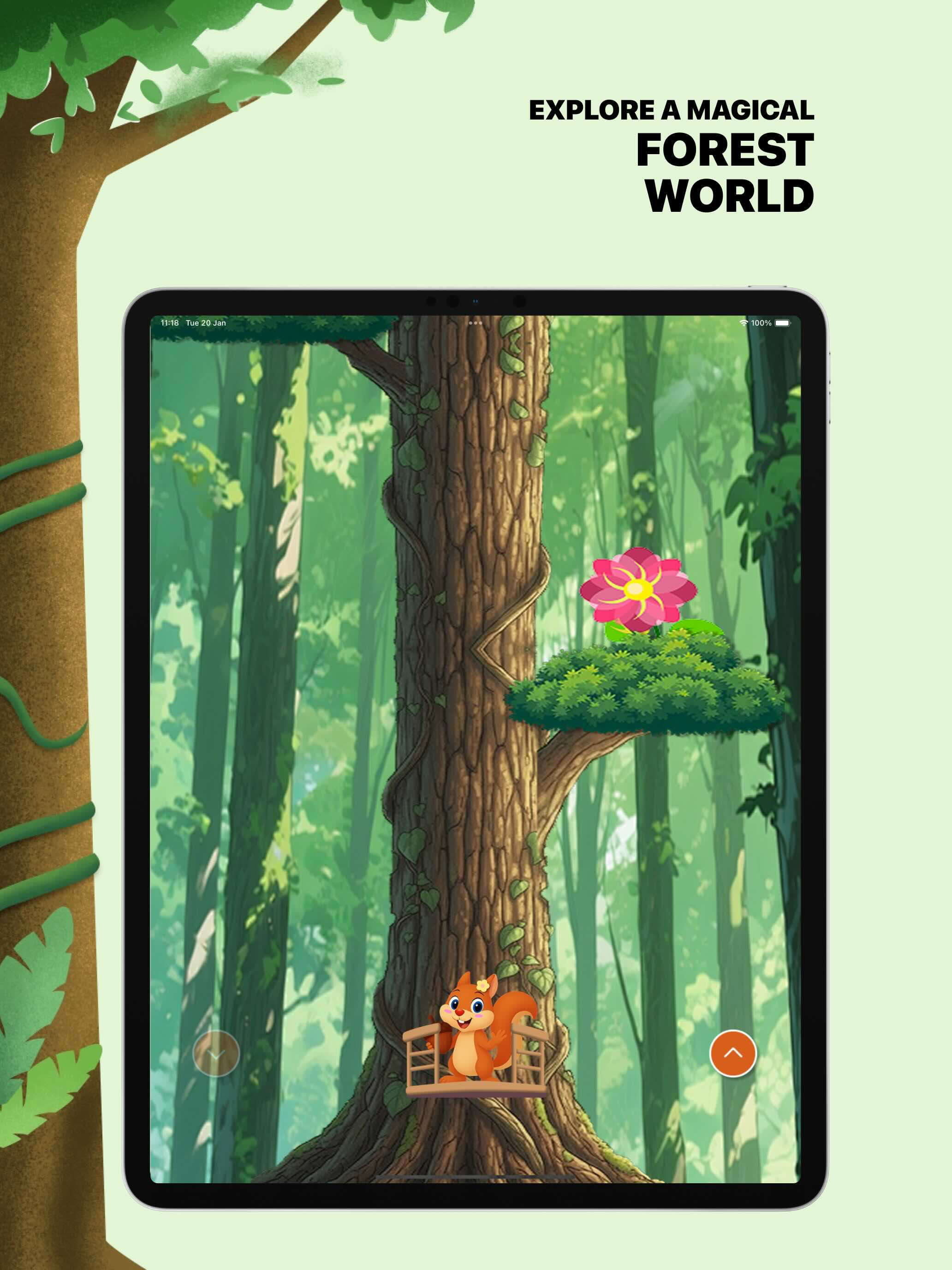 Moviebox - Film Forest