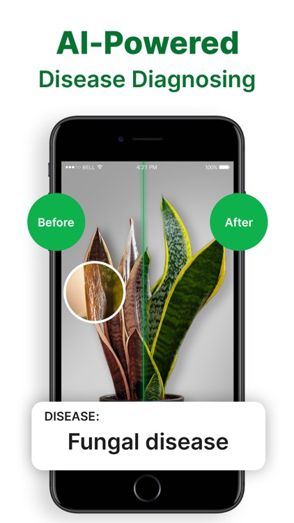 Plant Identifier App - Leafy