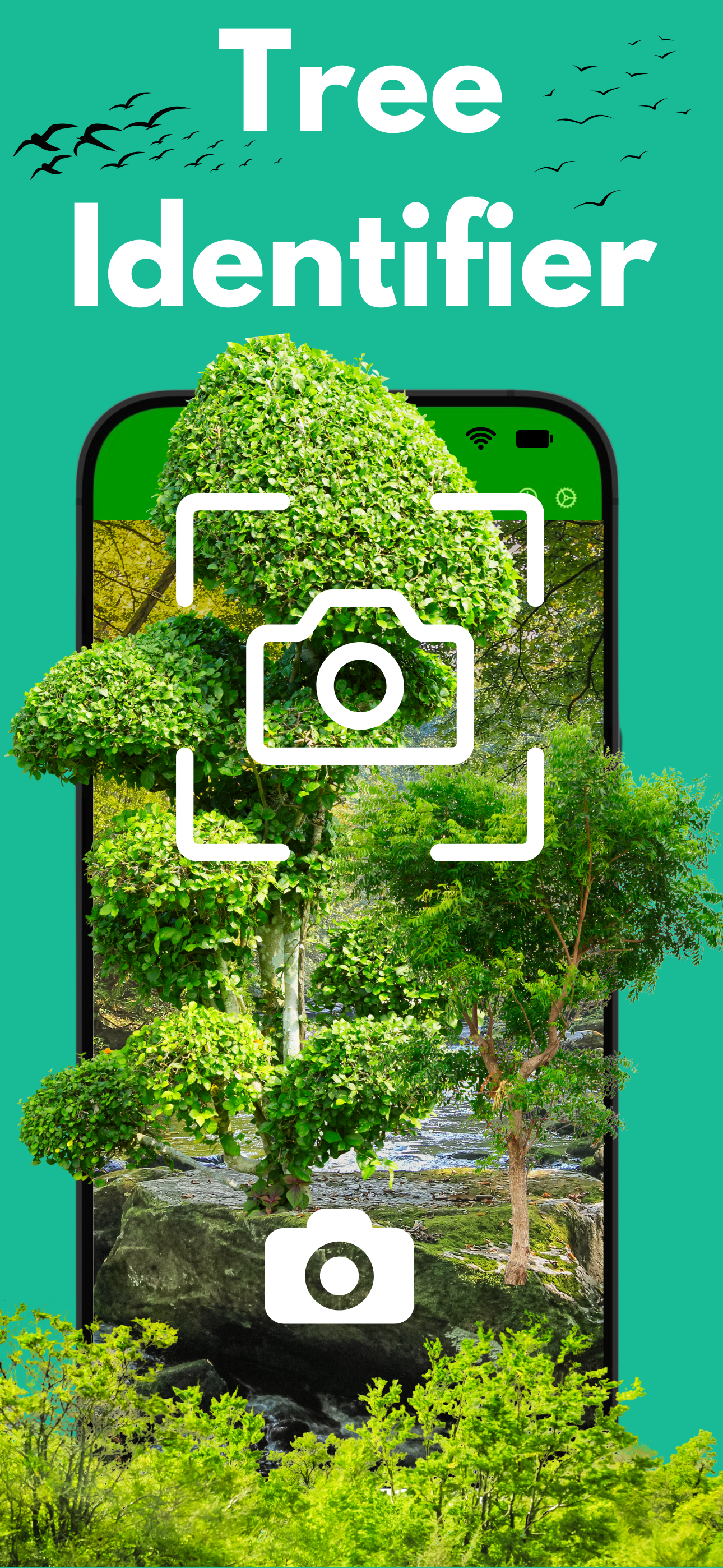 Plantsnap Plant Identifier