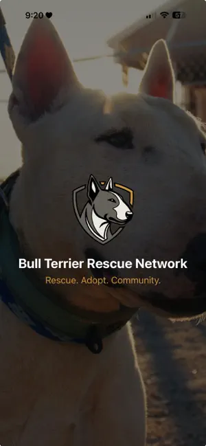 Bull Terrier Rescue Network screenshot 1