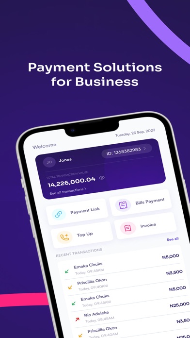 BudPay Business Screenshot