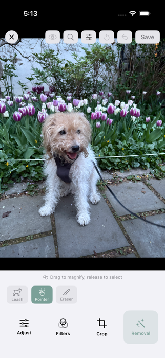 Pawfect Edit Screenshot 3 of 9