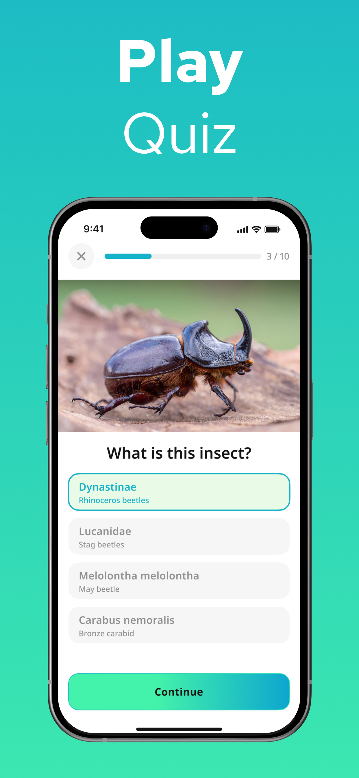 Insect Identifier - Insectium