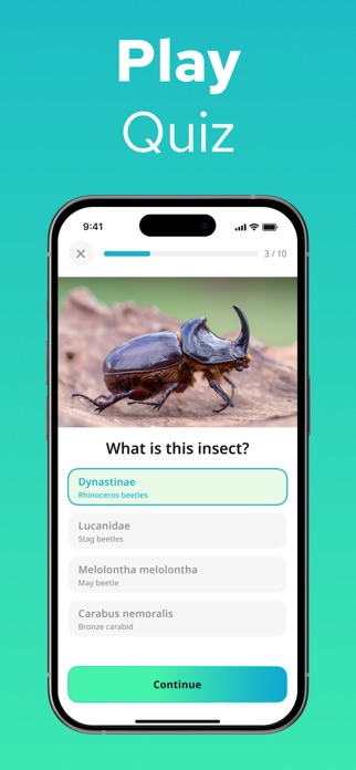 Insect Identifier - Insectium Screenshot 7 of 8