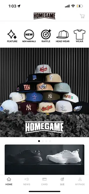 HOMEGAME screenshot 1