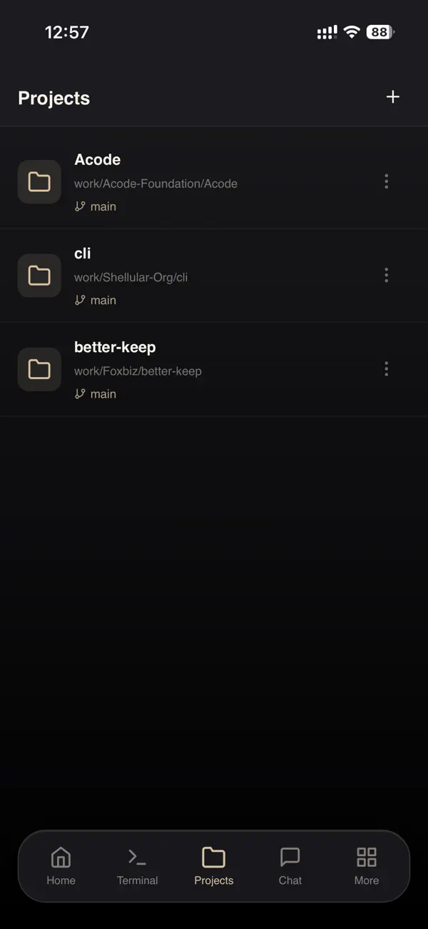 #3. Shellular (iOS) De: Foxbiz Software Private Limited