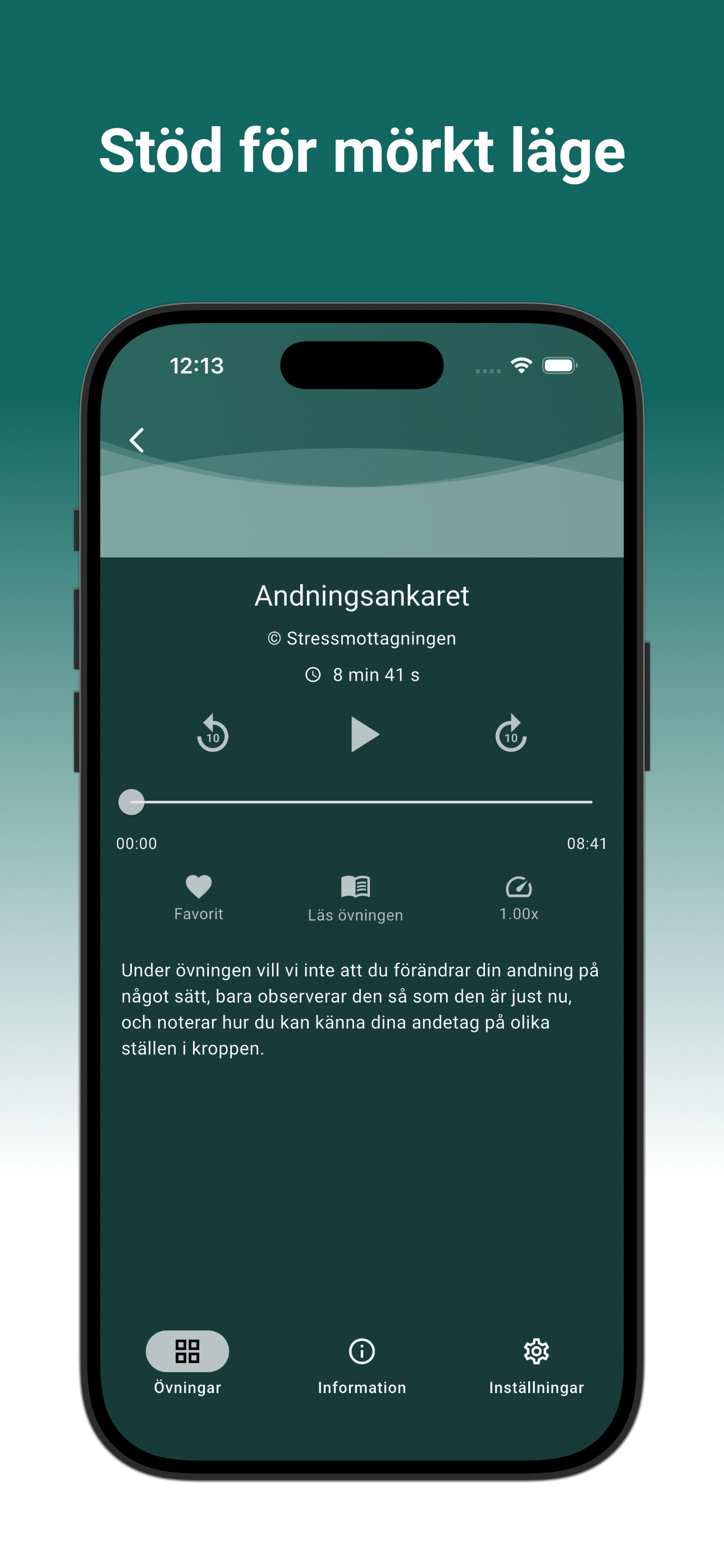 Närvaro i nuet