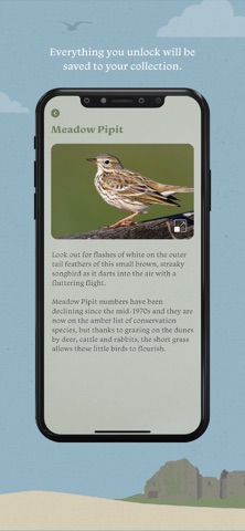 Merthyr Mawr Explorer screenshot