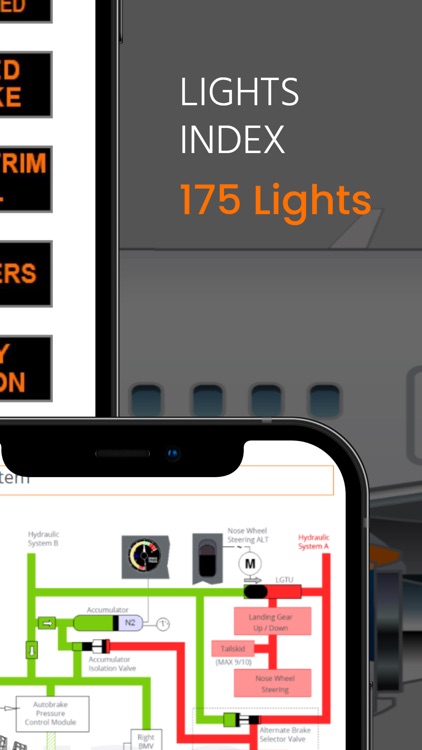 B737 MRG screenshot-5