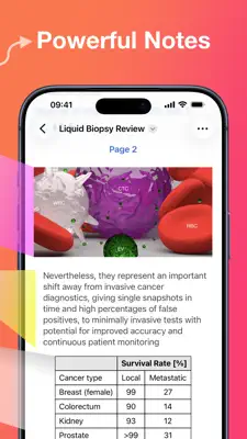 Amber: Snippets, Images, Docs 3