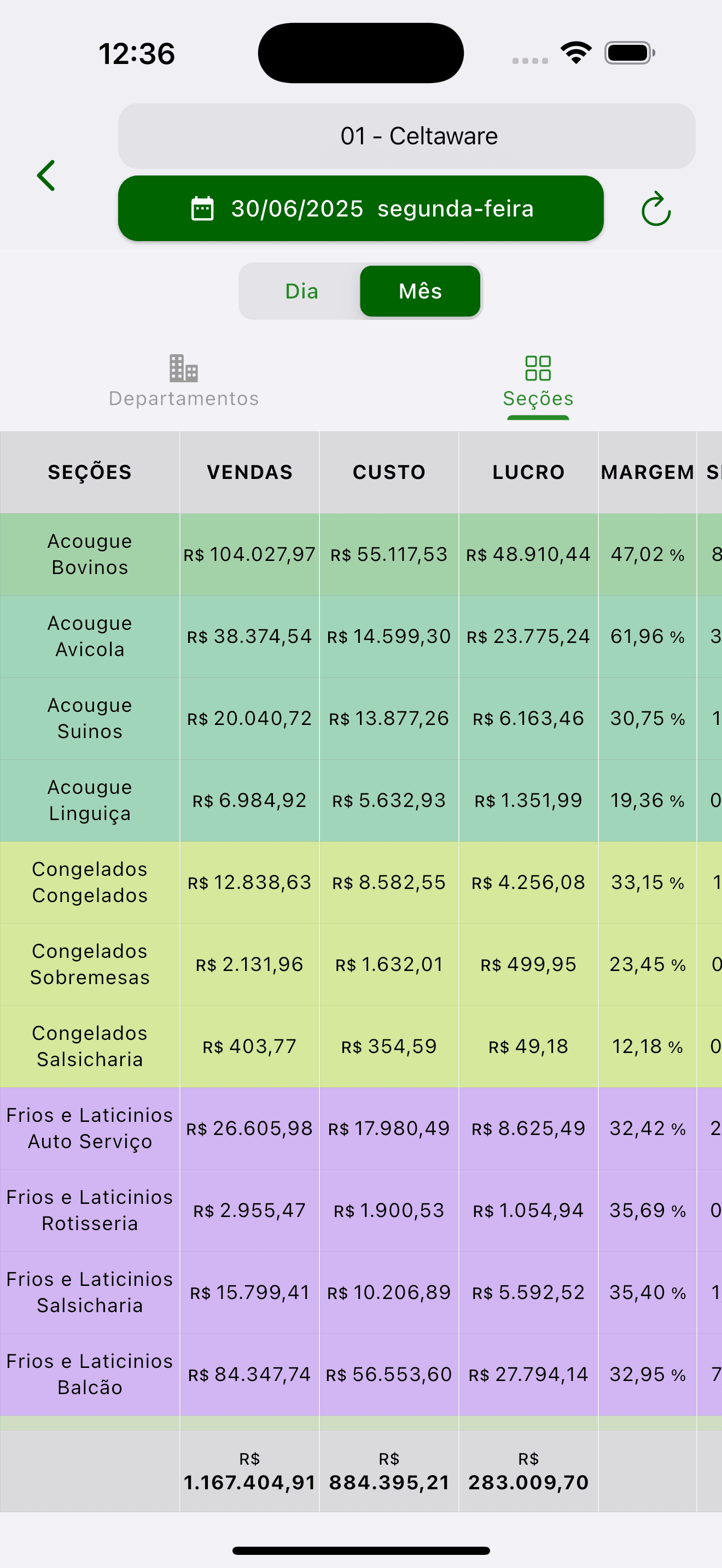 Celta dash screenshot 3