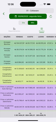 Celta dash screenshot