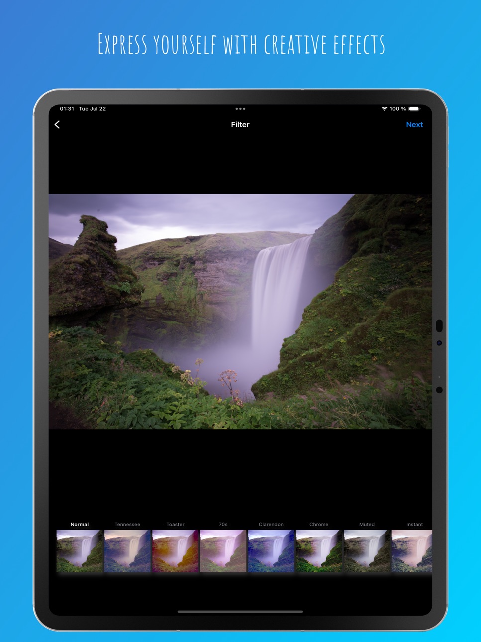 iPad screenshot
