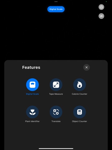 Pesa Grammi Bilancia Digitale iPad screenshot 2