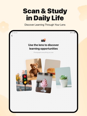 ScanWords:Snap Translate&Learn iPad screenshot