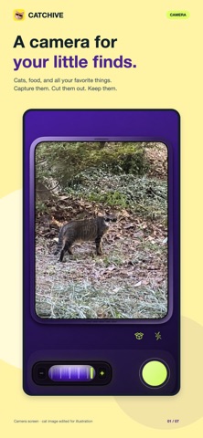 CATCHIVE-Capture what you love Screenshot 1 of 7