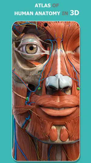 Anatomy Learning - 3D Atlas screenshot 1