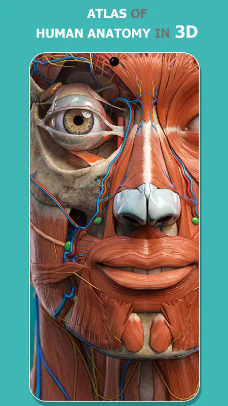 Anatomy Learning - 3D Atlas screenshot 1 of 7